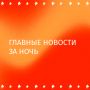 Разрывала себя живьем и гнила заживо: медведицу Машу, 20 лет истязаемую в кафе в Смоленской области, спасли волонтеры