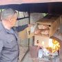 В Смоленской области уничтожили зараженные розы