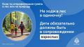 Перед тем, как отправиться в лес, стоит повторить важные правила