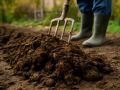 Как собрать свежий урожай в августе: 5 культур для огорода