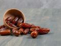 Как дома вырастить финиковую пальму и получить первый урожай