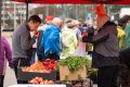 Весенние ярмарки в Минске: саженцы и свежие овощи по доступным ценам
