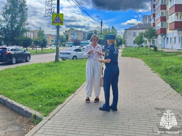 В Гагарине прошли профилактические рейды по пожарной безопасности В Гагарине прошли профилактические рейды по пожарной безопасности