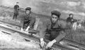 3 августа 1943 года по указанию Центрального штаба партизанского движения действующие в тылу врага советские партизаны начали операцию "Рельсовая война"