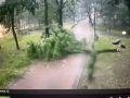 �� ���������� ������� ��������� ������ ������ � ������ � ���������� ������