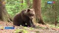 ��������� �������, Ѹ�� � ���� ������� ��������� ���������� ������ � ����������� � �������� ������ �������� �������������