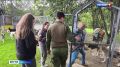 Смоленские таможенники поддержали приют для животных