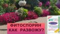 Фитоспорин М: секреты эффективного применения и разведения