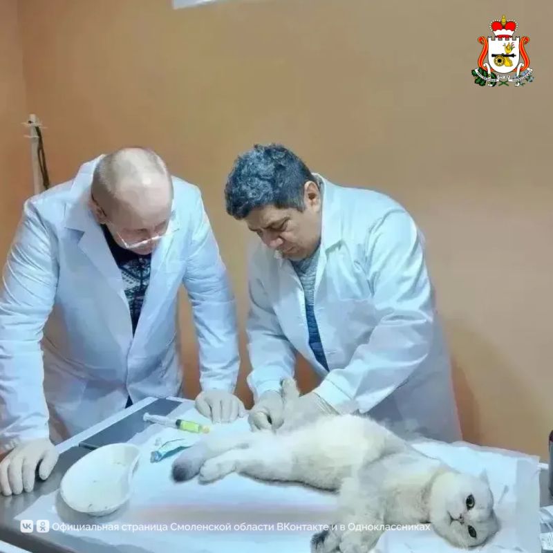 С Днём ветеринарного работника! С Днём ветеринарного работника!