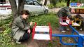 «Молодёжка» Народного фронта отмечает 9 лет