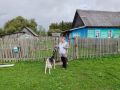 Обходчики "ИнформУИК" уже в деле: информируют жителей Смоленщины о предстоящих выборах депутатов Государственной Думы! Избиратели встречают их по-домашнему — тепло и радушно, вместе со своими любимцами!