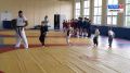 «Земские тренеры» развивают тхэквондо в муниципалитетах области