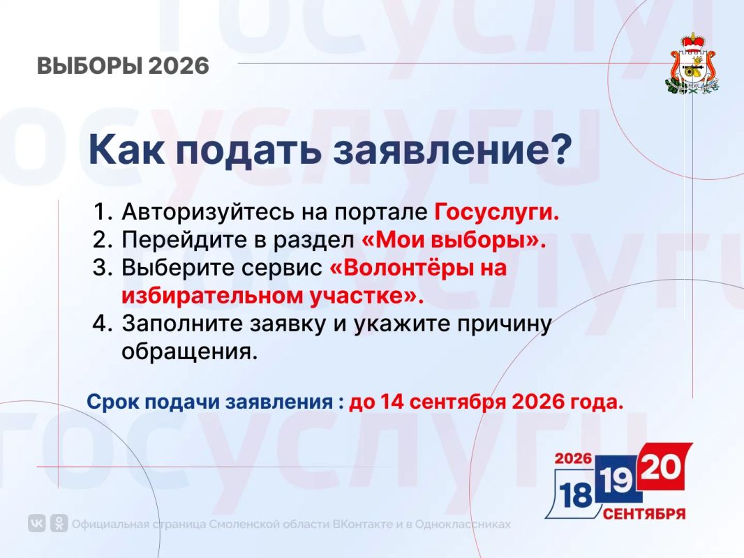 Смоляне могут обратиться за помощью волонтёров на выборах Смоляне могут обратиться за помощью волонтёров на выборах