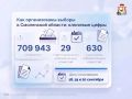 Как организованы выборы в Смоленской области: ключевые цифры
