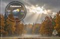 Впереди хмурый осенний день