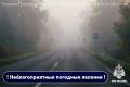 ВНИМАНИЕ!. По информации Смоленского филиала ЦГМС, сегодня с 21:00 до 11:00 завтрашнего дня на территории области ожидается густой туман