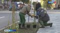В Смоленске продолжается масштабное озеленение