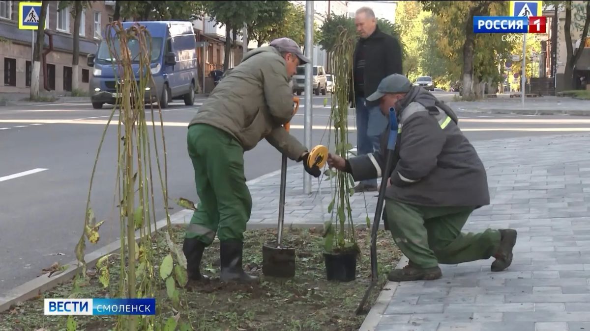 В Смоленске продолжается масштабное озеленение