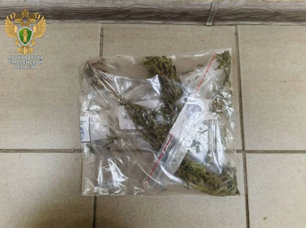 Прокуратура Смоленского района направила в суд уголовное дело о незаконном обороте наркотических средств в крупном размере Прокуратура Смоленского района направила в суд уголовное дело о незаконном обороте наркотических средств в крупном размере