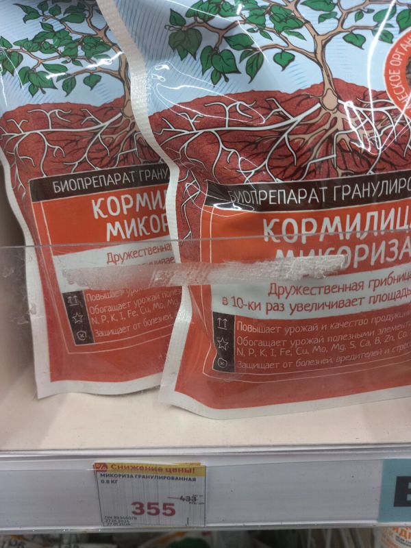 Микориза: секреты успешного роста рассады и повышенного урожая
