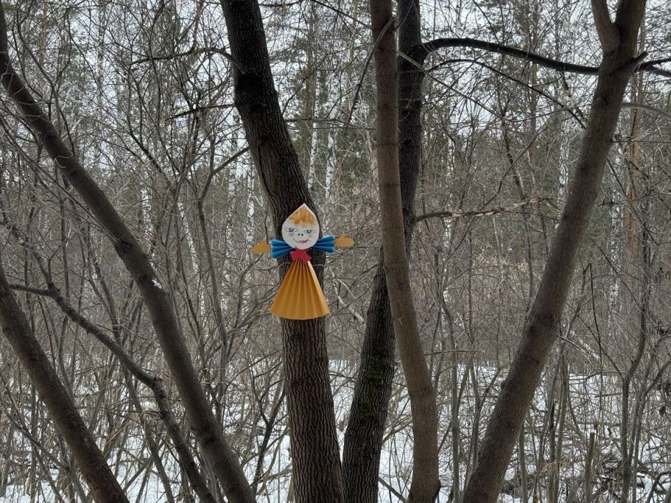 Как справиться с комариными укусами: полезные советы