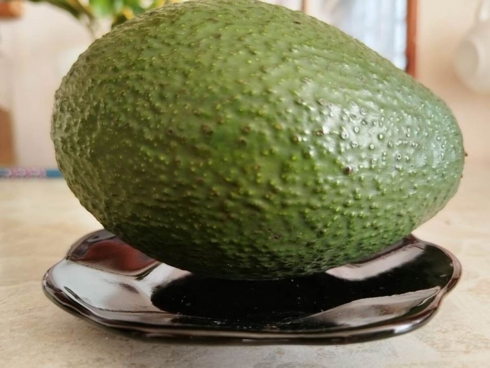 Как выбрать спелое авокадо: полезные советы для гурманов