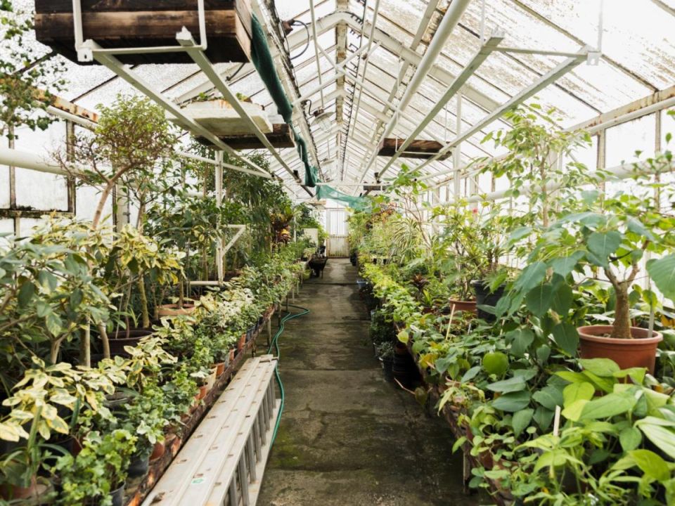 Как защитить арочную теплицу от снеговой нагрузки