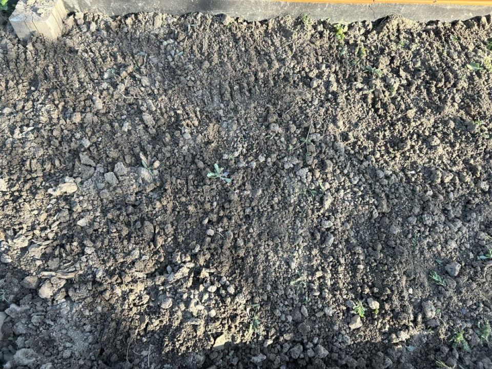 Дренаж для растений: альтернативы керамзиту, о которых стоит знать