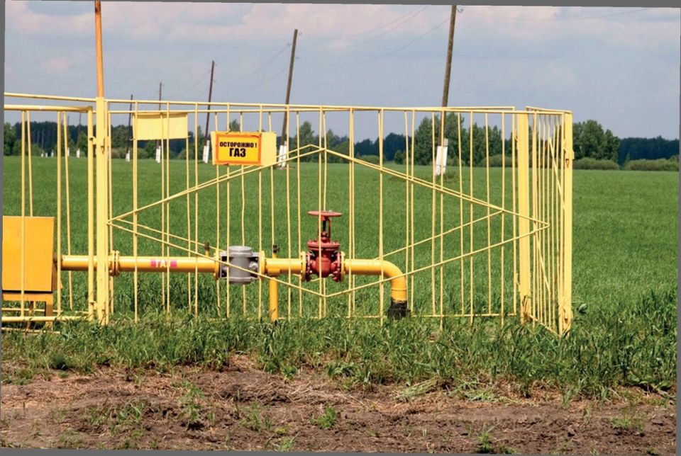 Неожиданная находка на собственном участке: как газопровод заставил владельца бороться за свои права