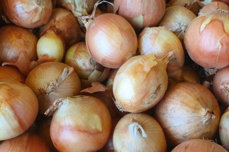 Как хранить в квартире лук, чтобы не сгнил и не пророс: 3 простых совета