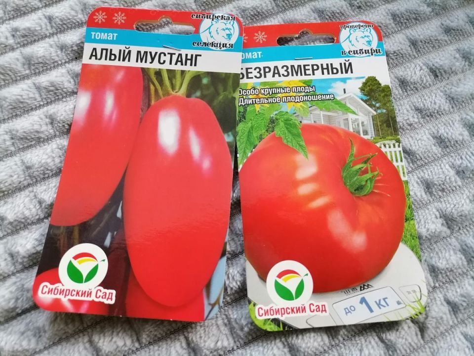 Летние чудеса: обзор лучших томатов для Сибири