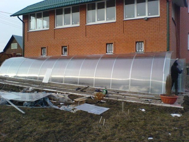 Теплицы зимой: как создать идеальный микроклимат для роста растений