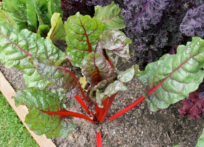 �������� ��������� ������: ������� ��������� ������