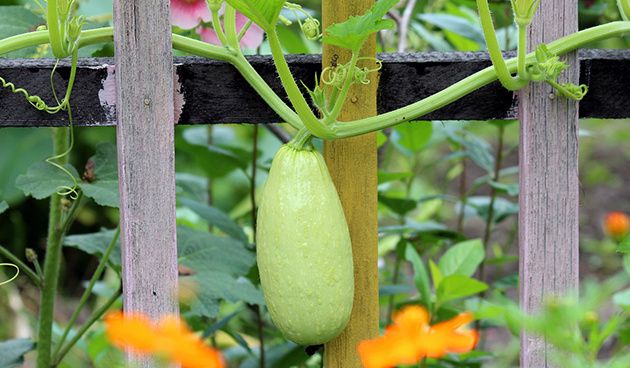 �������, ������� ������� ���� ������: 35 ������ ������ ��� ������ �������