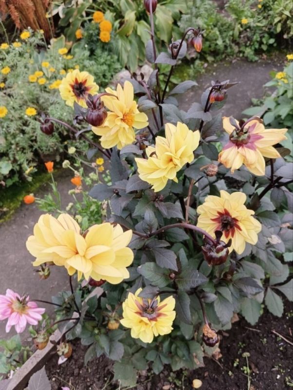 �������� � ���������� �������: ����� ������ � ����� ����