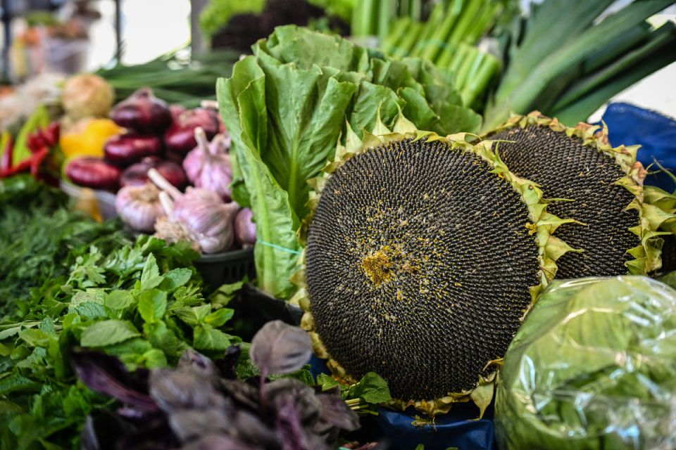 ������� ������: ������� ������ ���������� ������ ��������� � ������������ �������