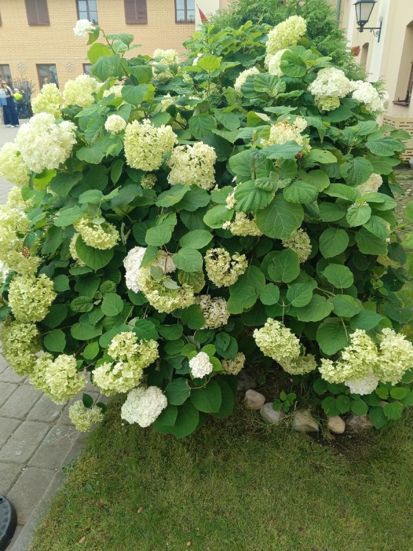 Как наслаждаться жизнью на пенсии: пять секретов активного досуга