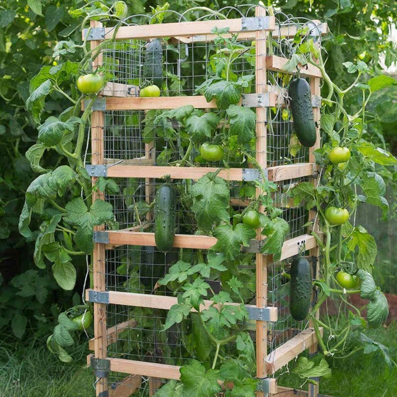 Как создать уникальную шпалеру для огорода из подручных материалов