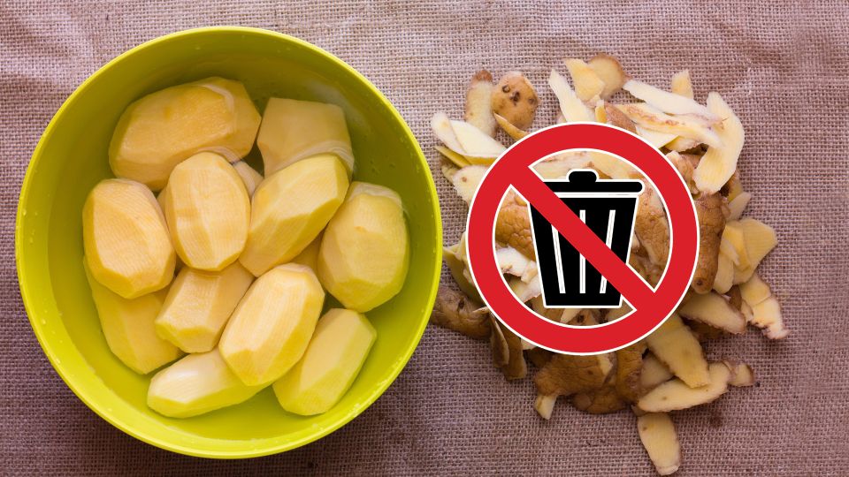 ������ ������� �� ����������� ������������ �������: � �� ������� �������� ������