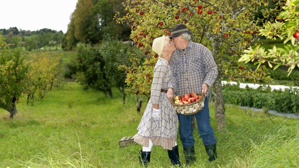 ������ �� ����: ��� ����������� ������ � �������