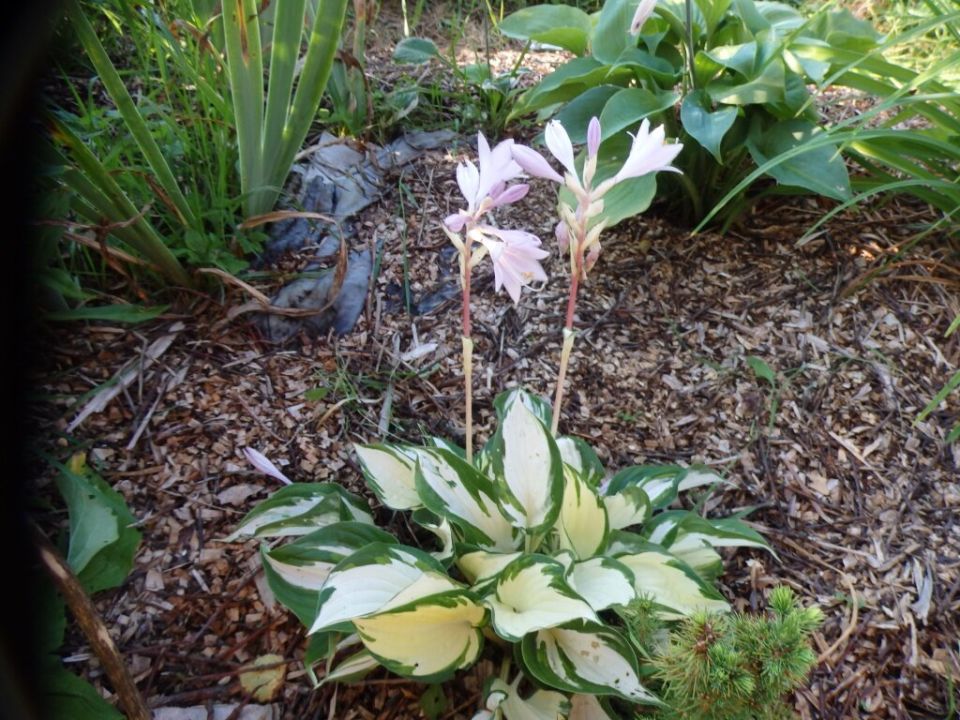 ������ ����� �������� ��������� �����: ������ ������ � ������ �� �����