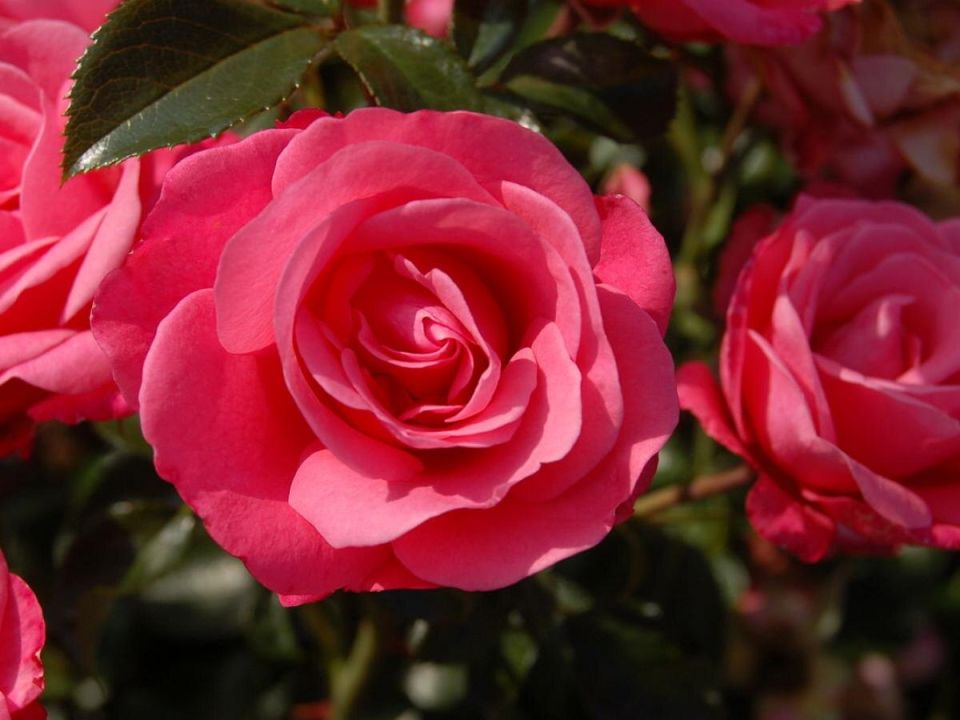 ��������� ���� � ������ ������ ��������� ����