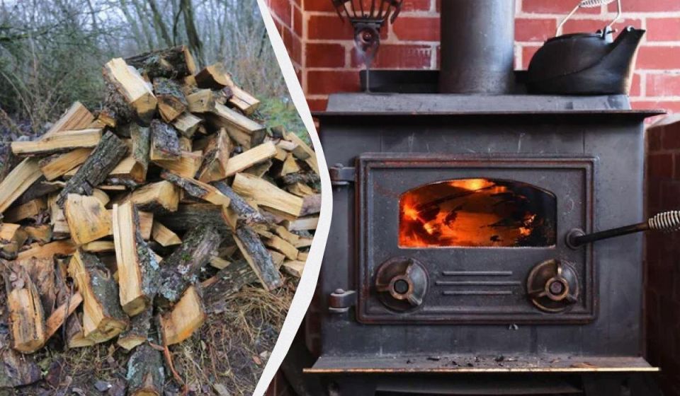 ������� ��������: ��� ������������ ����� ����� ��� ����