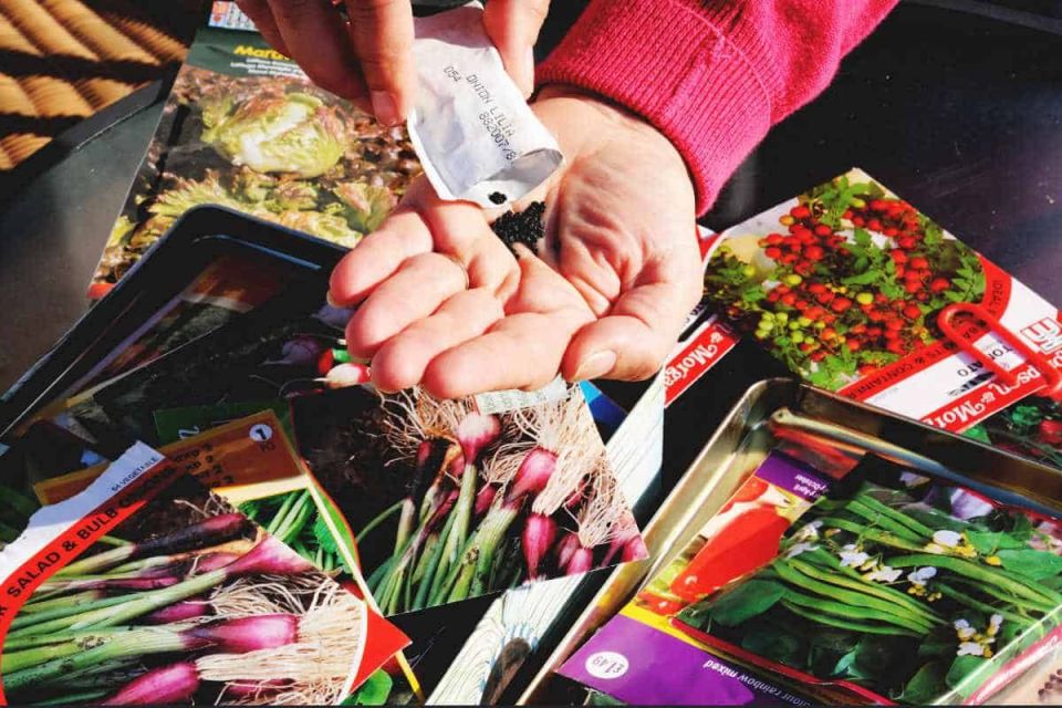 ��� ������ � ������ �������� �������������� ����� � ������