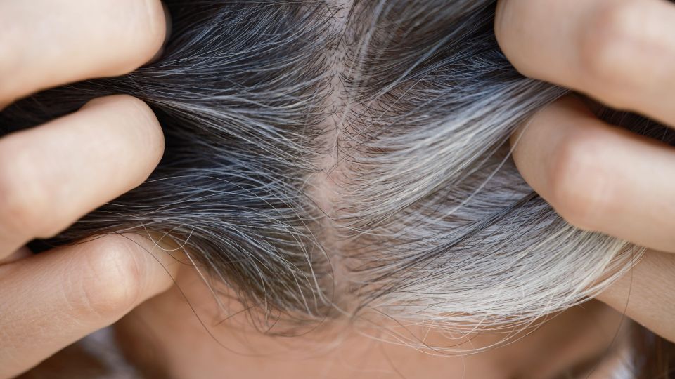 �� ������ � ������: ����� ����� �������, �� ��� ����� ��������� �� ���� �����