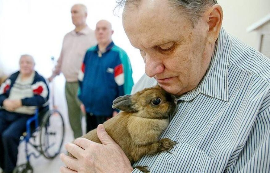 ������� ���������� ������� ��������� ������� � ������������ ��������� ��������