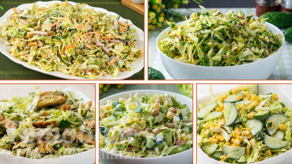 ����� �� �������: 5 ��������-������� �� ������� ������� �� ��������� ������