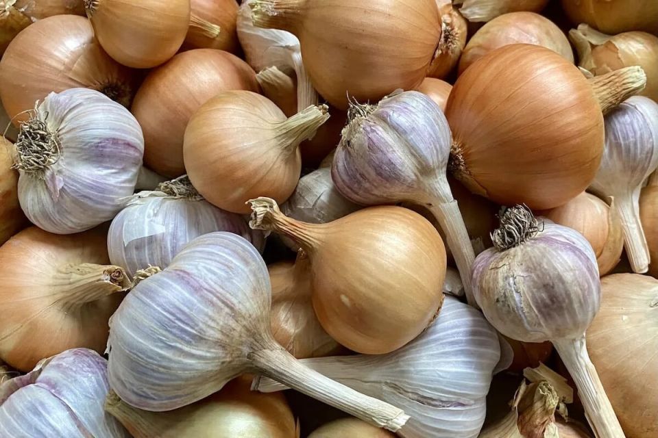 ���-5 ���������, �������������� �������� ������ ����������