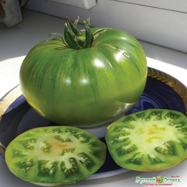 ����� ����� ������: ���������� ����� � ������� ������� ������������� ��������