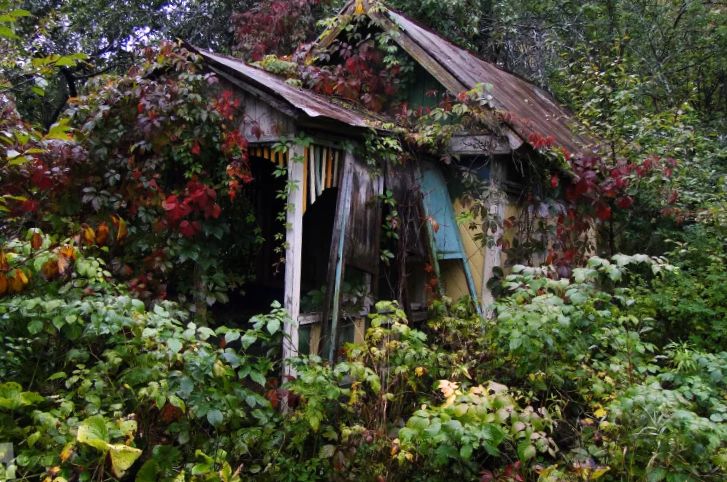 ��� ���������� ����������� ������� � �������� ��� ����� �� ���